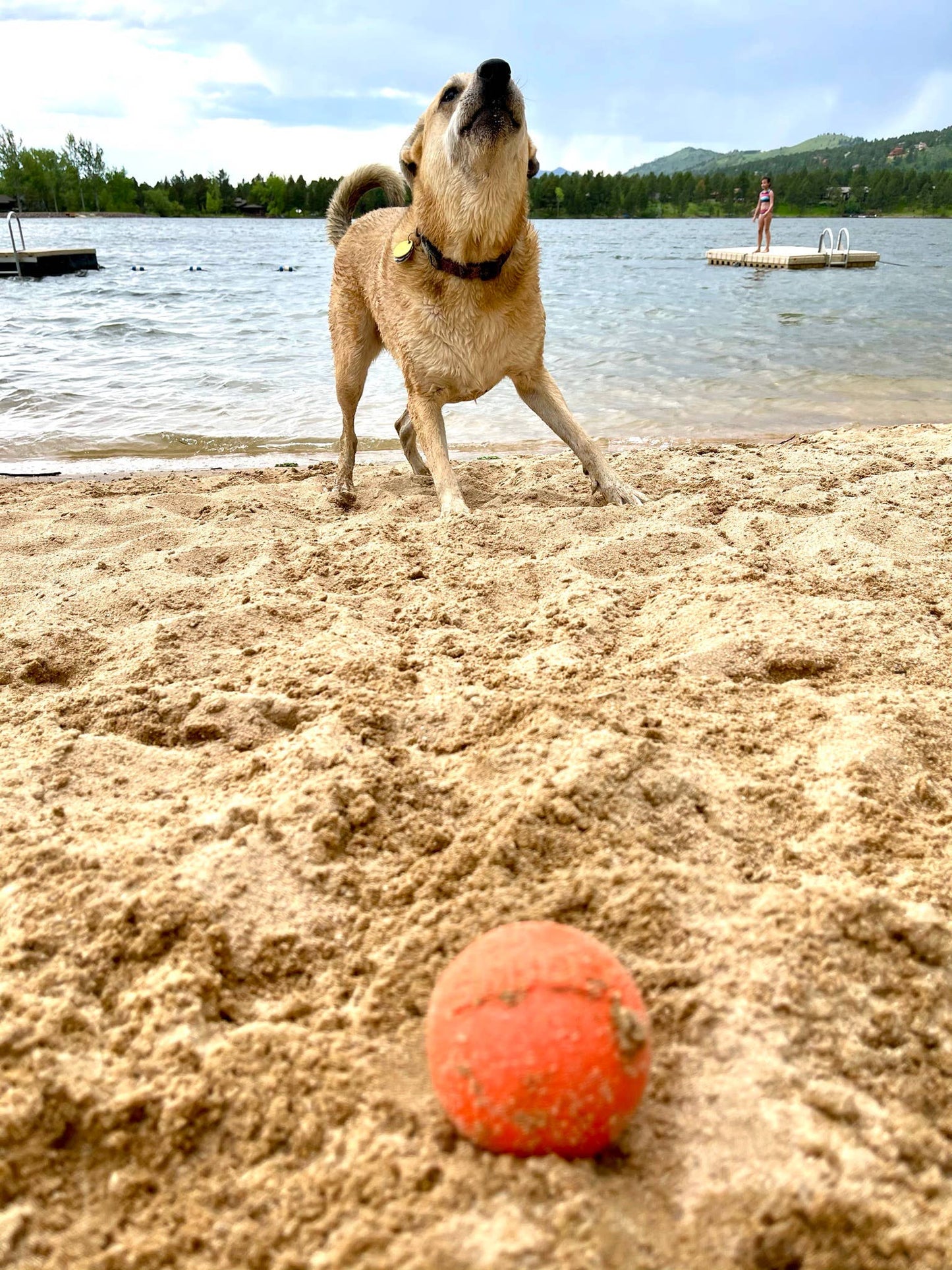 SodaPup - Smile Ball Durable Synthetic Rubber Chew & Retrievning Ball