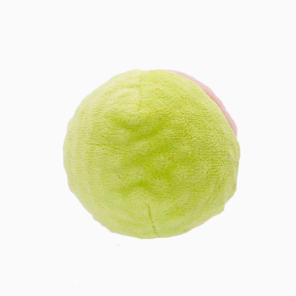 Hugsmart Products Inc - HugSmart Pet | Howloween Night – Zombie - Dog Ball Toy