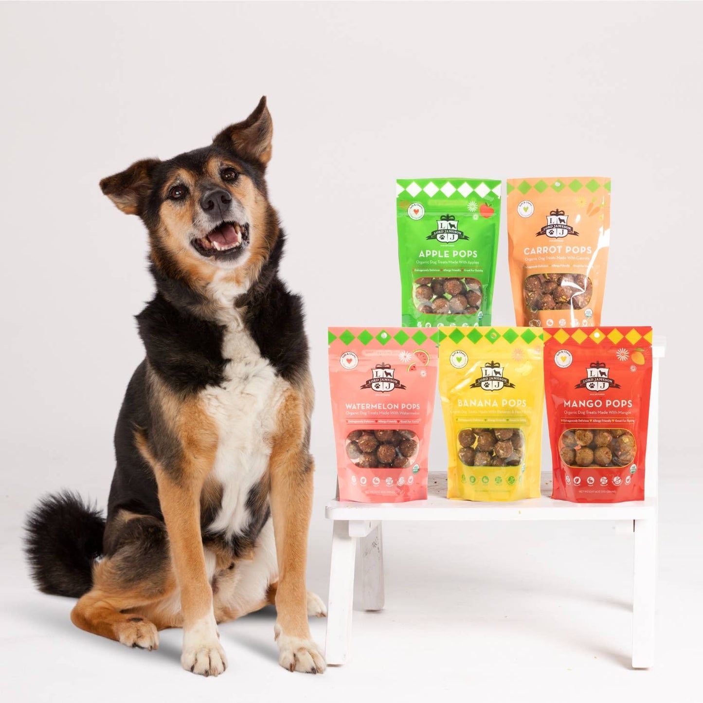 Lord Jameson Carrot Pops Organic Dog Treats 6oz