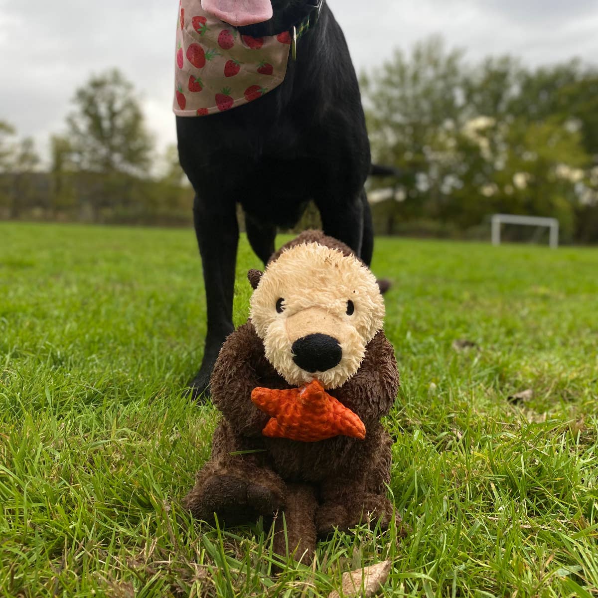 Tall Tails - Otter Rope Body Dog Toy