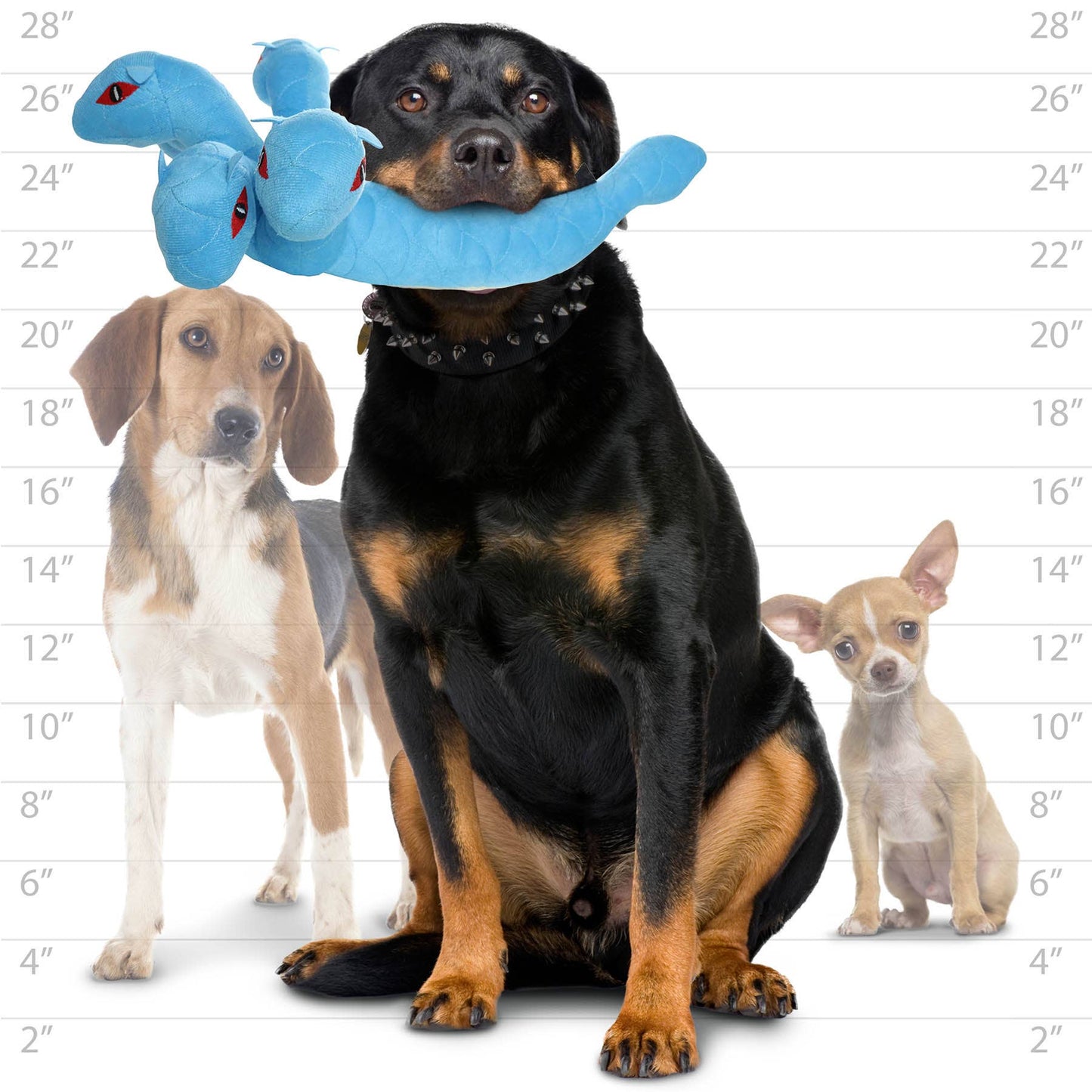 Tuffy Dog Toys - VIP Products - Mighty Dragon - Hydra, Plush, Squeaky Dog Toy