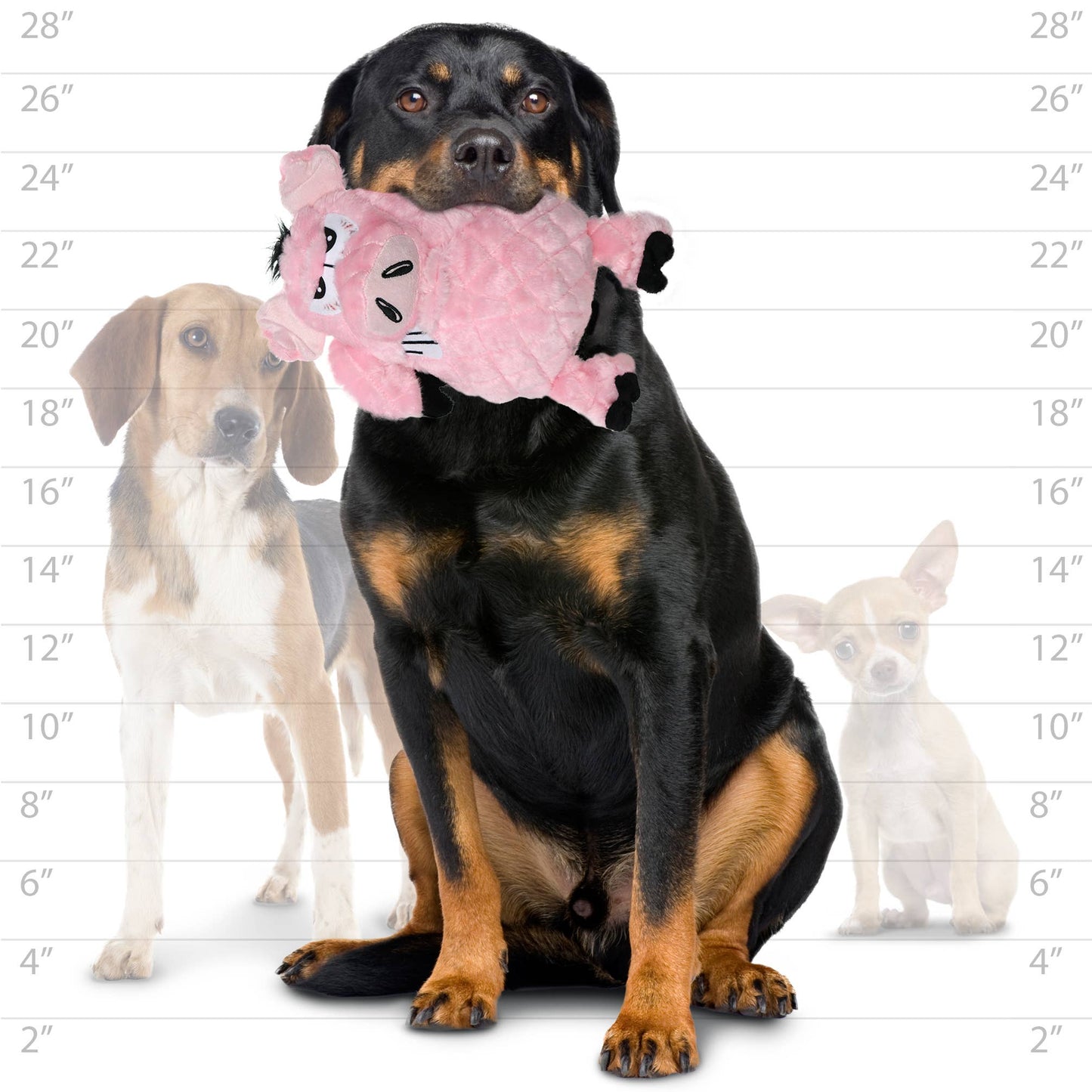 Tuffy Dog Toys - VIP Products - Mighty Angry Animals Pig, Plush, Squeaky Dog Toy - Doot's Pet LLC Collars For A Cause