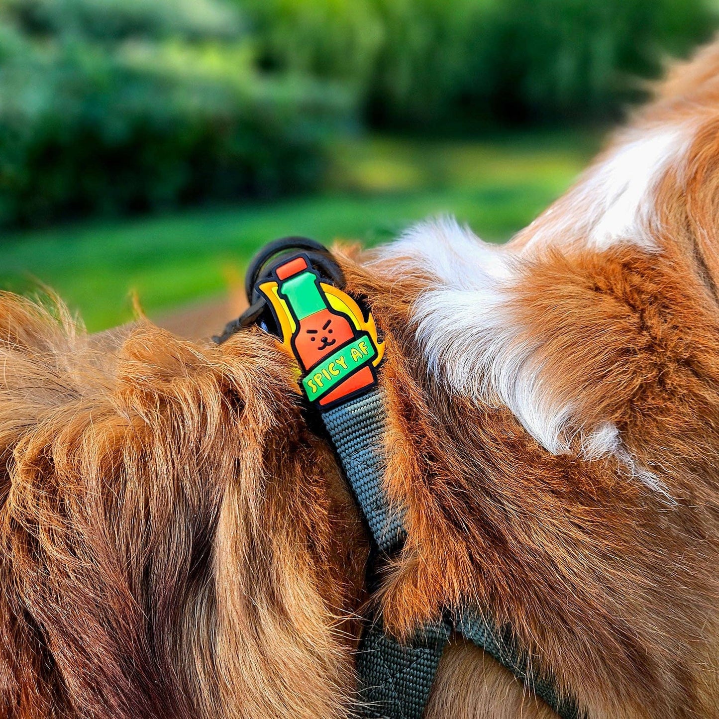 Jiby Dog Crew - Spicy AF Dog Jiby