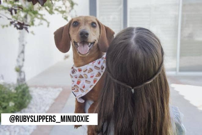 Mina + Pup - Drive-In Diner Cooling Bandana