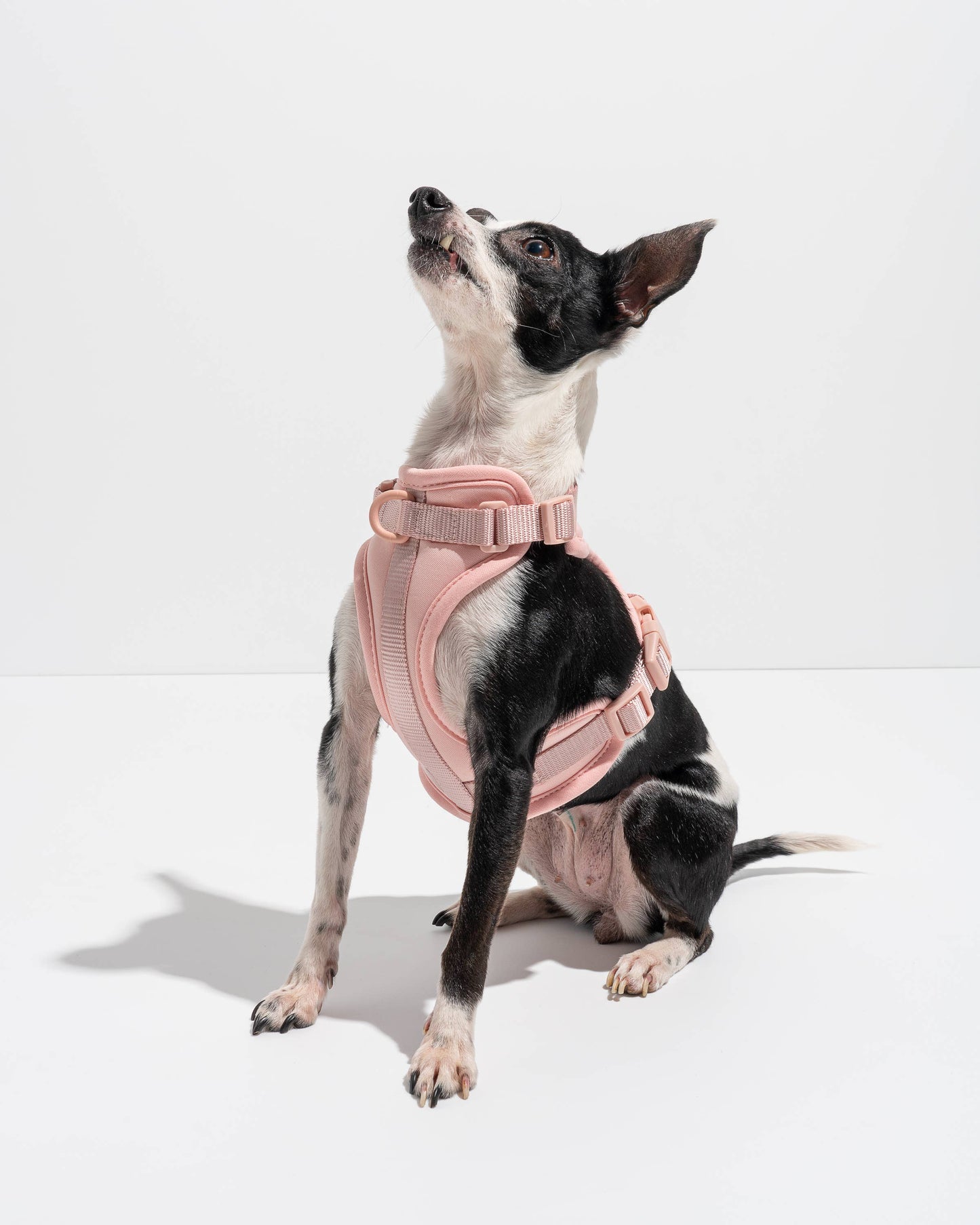 Wild One - Adjustable Comfort Dog Harness - Cocoa / SMALL