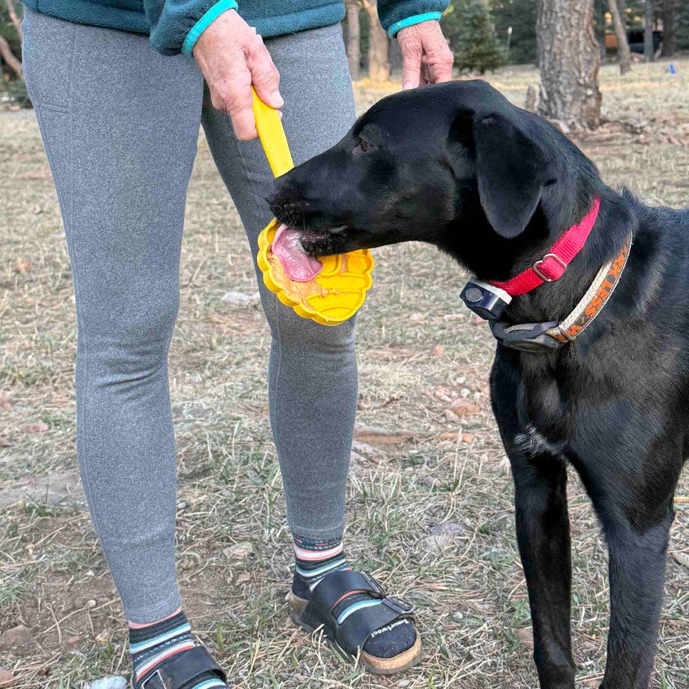 SodaPup Dog Toys - Lick Stick Hand-Held Interactive Enrichment Toys - Beehive Lick Stick - yellow