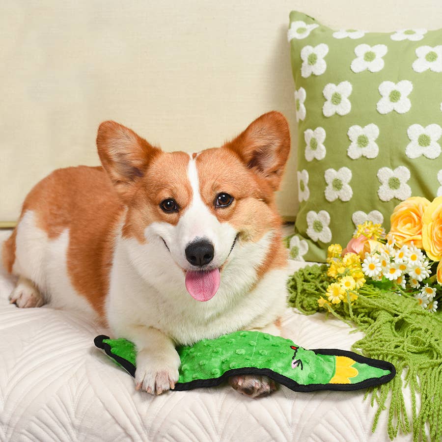 Hugsmart Products Inc - HugSmart Pet - Squeakin’ Vegetables | Pickle - Dog Plush Toy