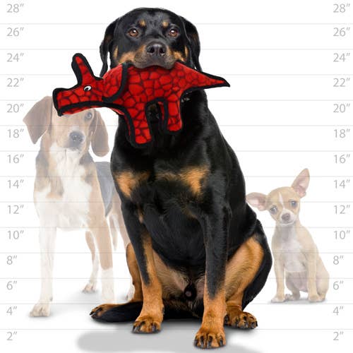 Tuffy Dog Toys - VIP Products - Tuffy Jr Dinosaur Triceratops, Durable, Squeaky Dog Toy - Doot's Pet LLC Collars For A Cause