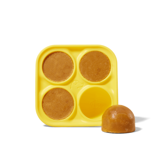 Woof - Pupsicle Treat Tray