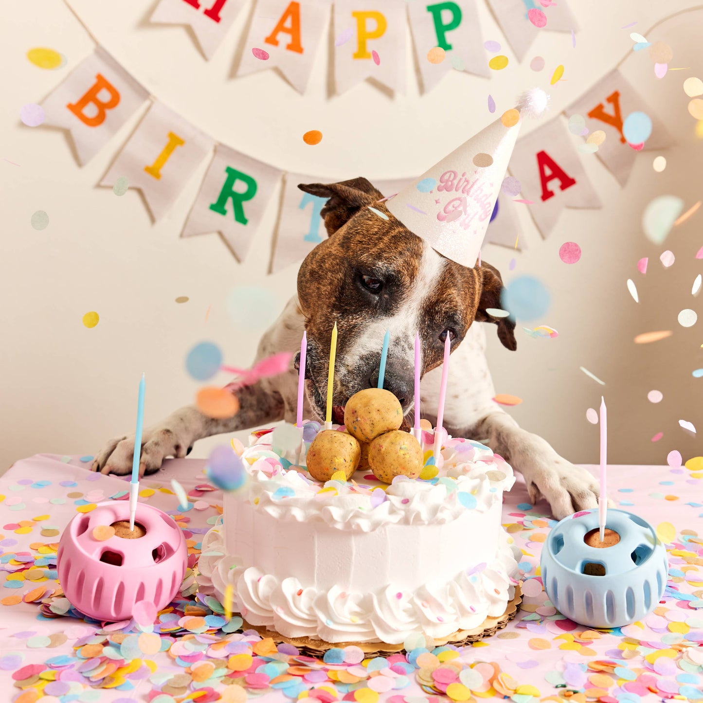 Woof - Party Pupsicle - Blue