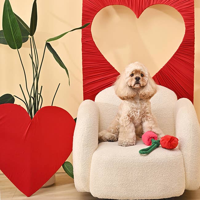 Hugsmart Products Inc - HugSmart Pet - Woof Love | Vday Rose - Dog Rope Toy
