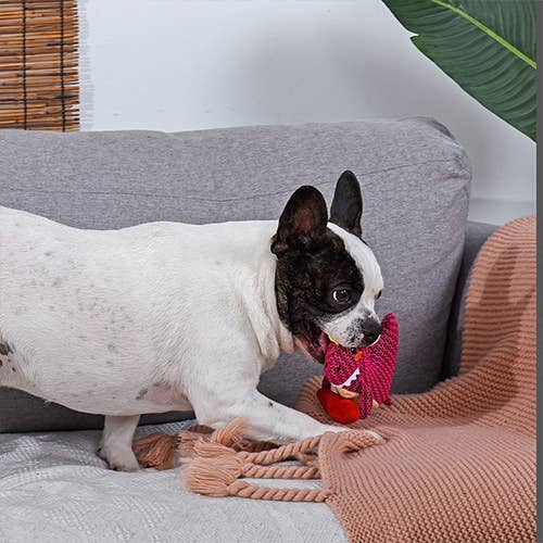 Hugsmart Products Inc - HugSmart Pet - Dinosaur Land | Rexy - Dog Plush Toy - Small