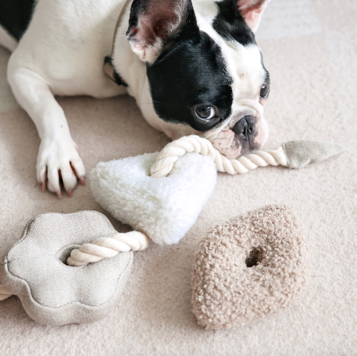 Lambwolf Collective - BLOCS//ENRICHMENT DOG TOY // NUDE - NUDE