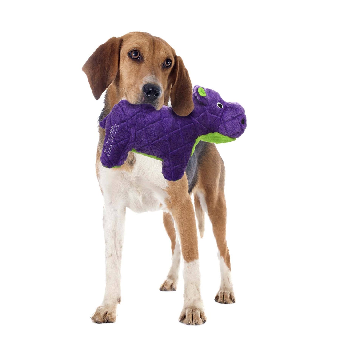 Tuffy Dog Toys - VIP Products - Mighty Safari Hippo - Purple, Plush, Squeaky Dog Toy - Doot's Pet LLC Collars For A Cause