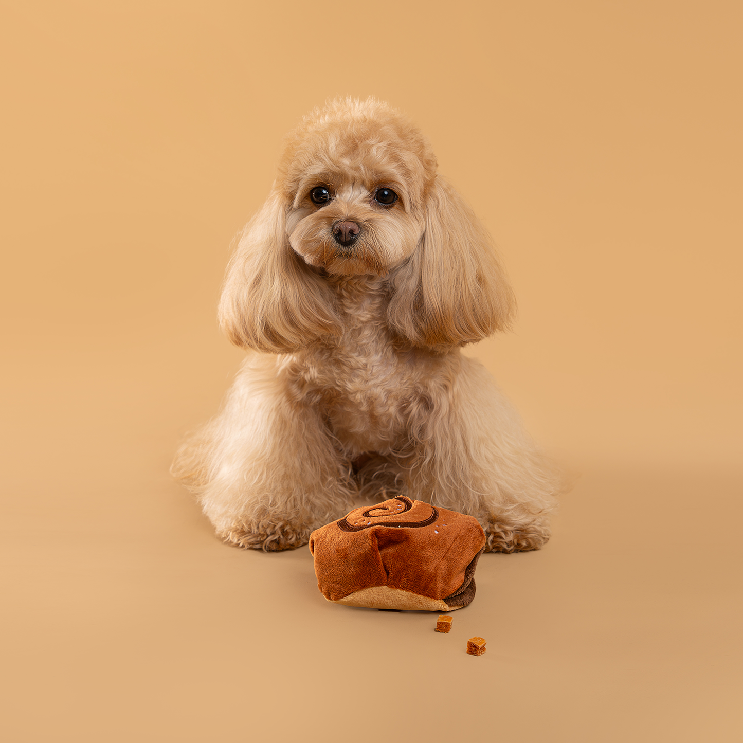 CHEWFFON - CHEWFFON Cinnamon Roll Squeaky Snuffle Toy