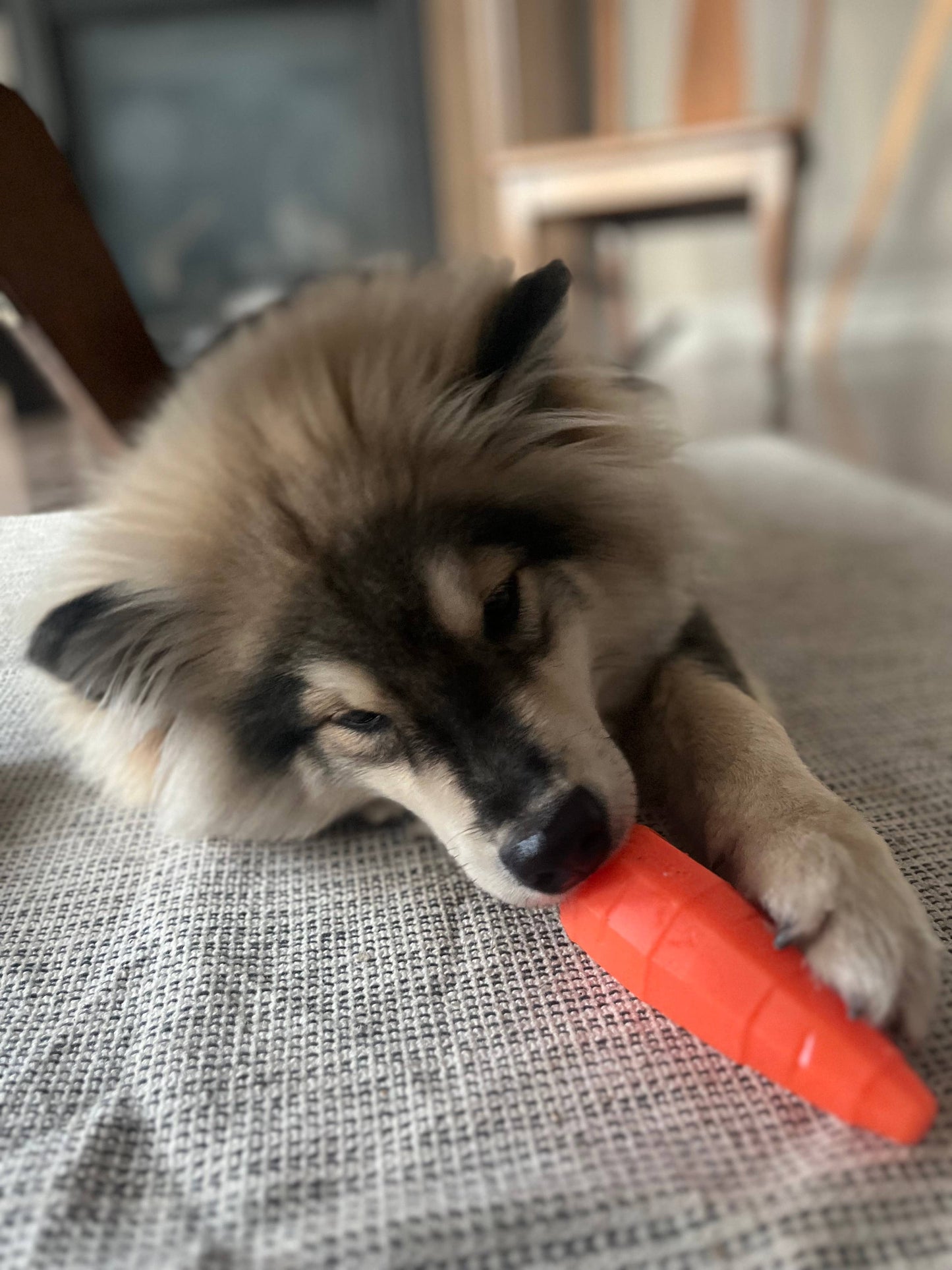 Spunky Pup - Treat Dispensing Fruits and Veggies - Carrot - Doot's Pet LLC Collars For A Cause