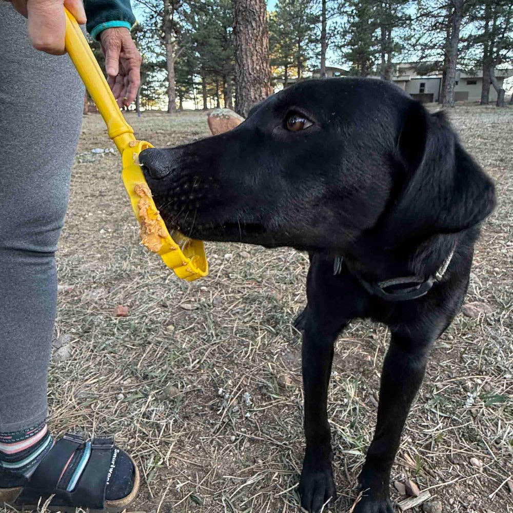 SodaPup Dog Toys - Lick Stick Hand-Held Interactive Enrichment Toys - Beehive Lick Stick - yellow