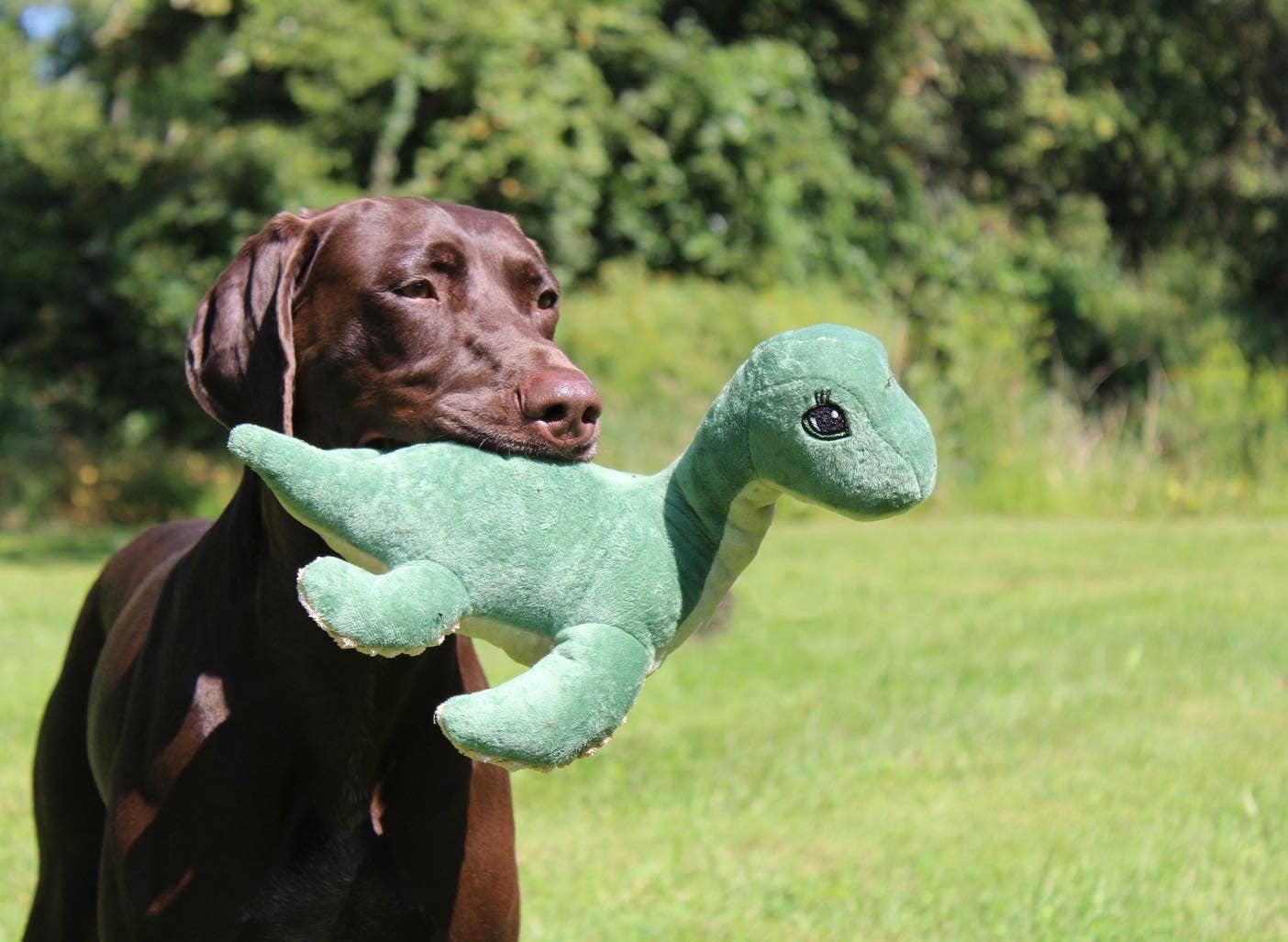 Tall Tails - Plush Nessie with Squeaker Dog Toy - 13"