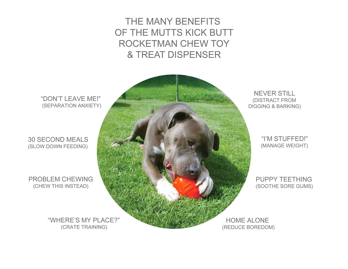 SodaPup - Spotnik Rocketman - Chew Toy - Treat Dispenser - Large - Red