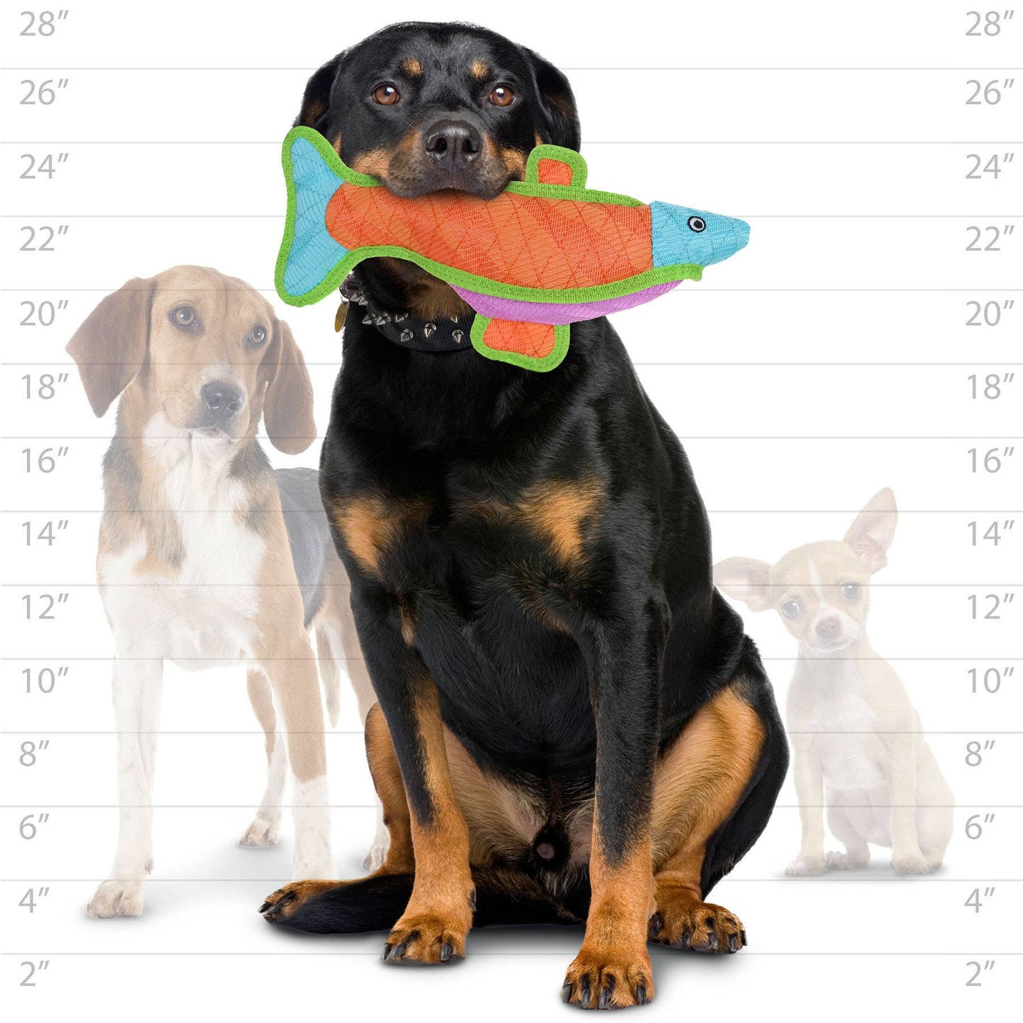 Tuffy Dog Toys - VIP Products - DuraForce Fish - Durable, Squeaky Dog Toy