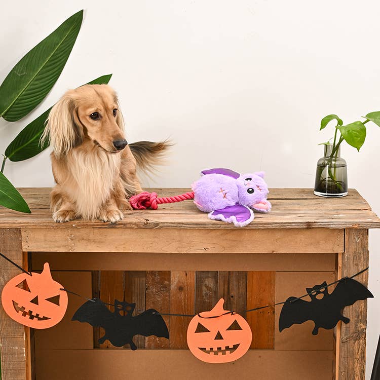 Hugsmart Products Inc - HugSmart Pet - Howloween Night | Bat - Dog Plush Toy