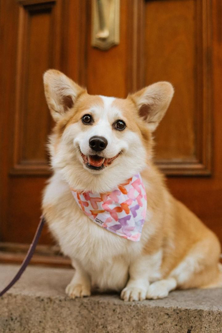 Watercolor Hearts Bandana