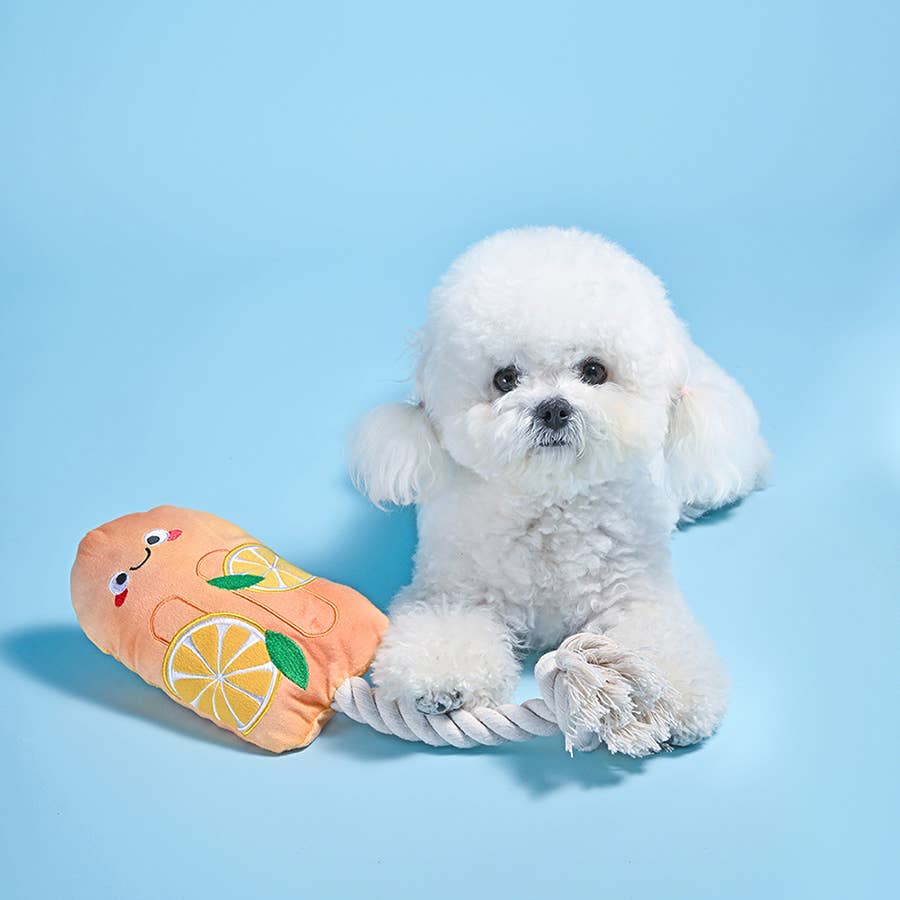 Hugsmart Products Inc - Orilandpet - Beach Daze | Orange Popsicle - Dog Rope Toys