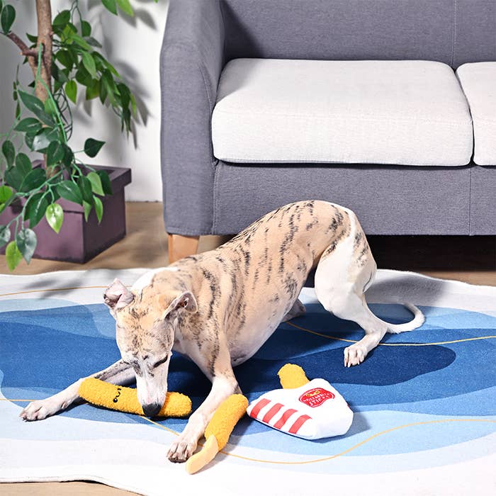 Hugsmart Products Inc - HugSmart Pet - Food Party | Mozzarella Sticks