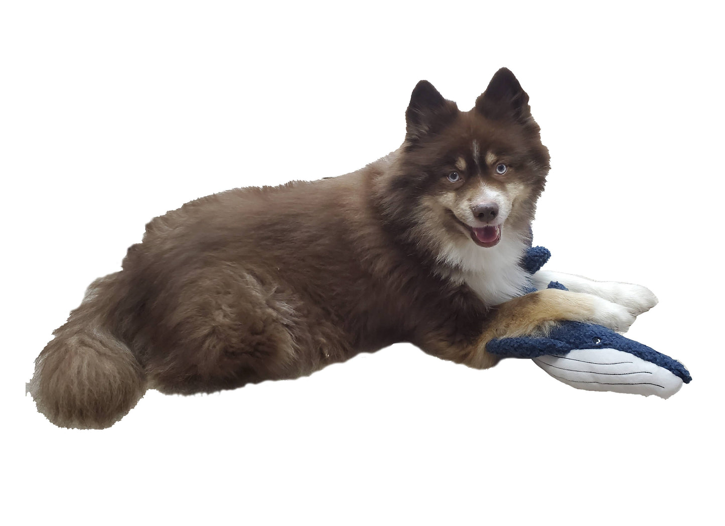 Barker's Bowtique - Winston the Blue Whale Fleece Dog Toy