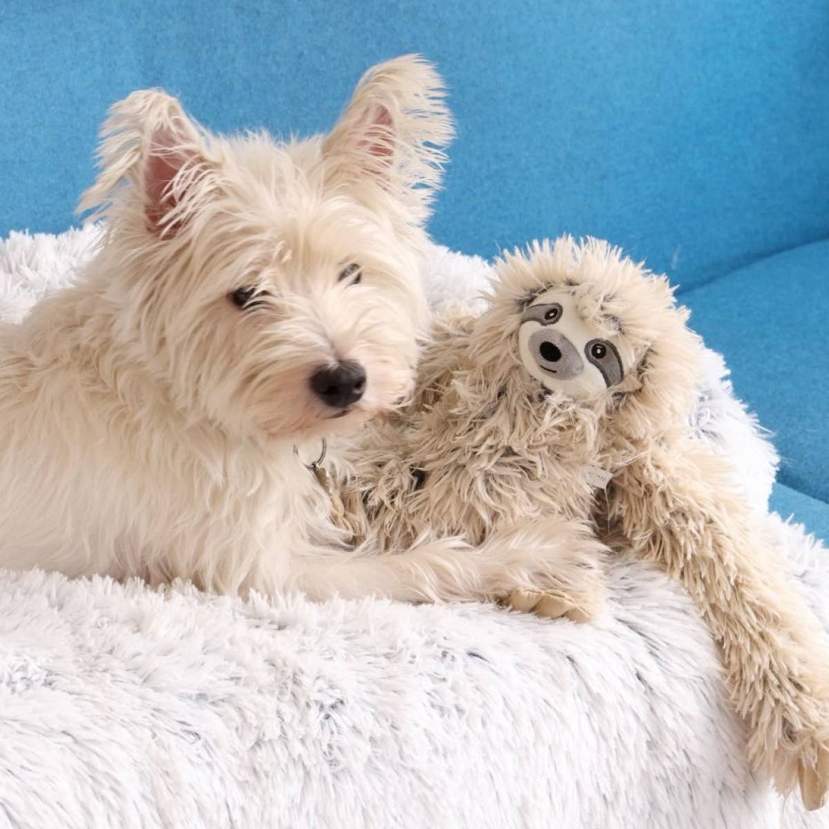 Tall Tails - Tall Tails Sloth Rope Body Tug Dog Toy