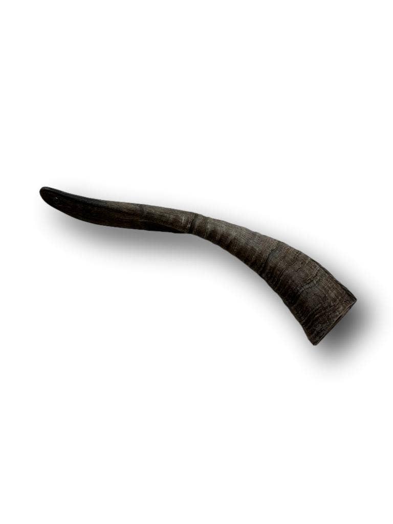 Doot's Chew Bar - Goat Horn Medium 9"-11"