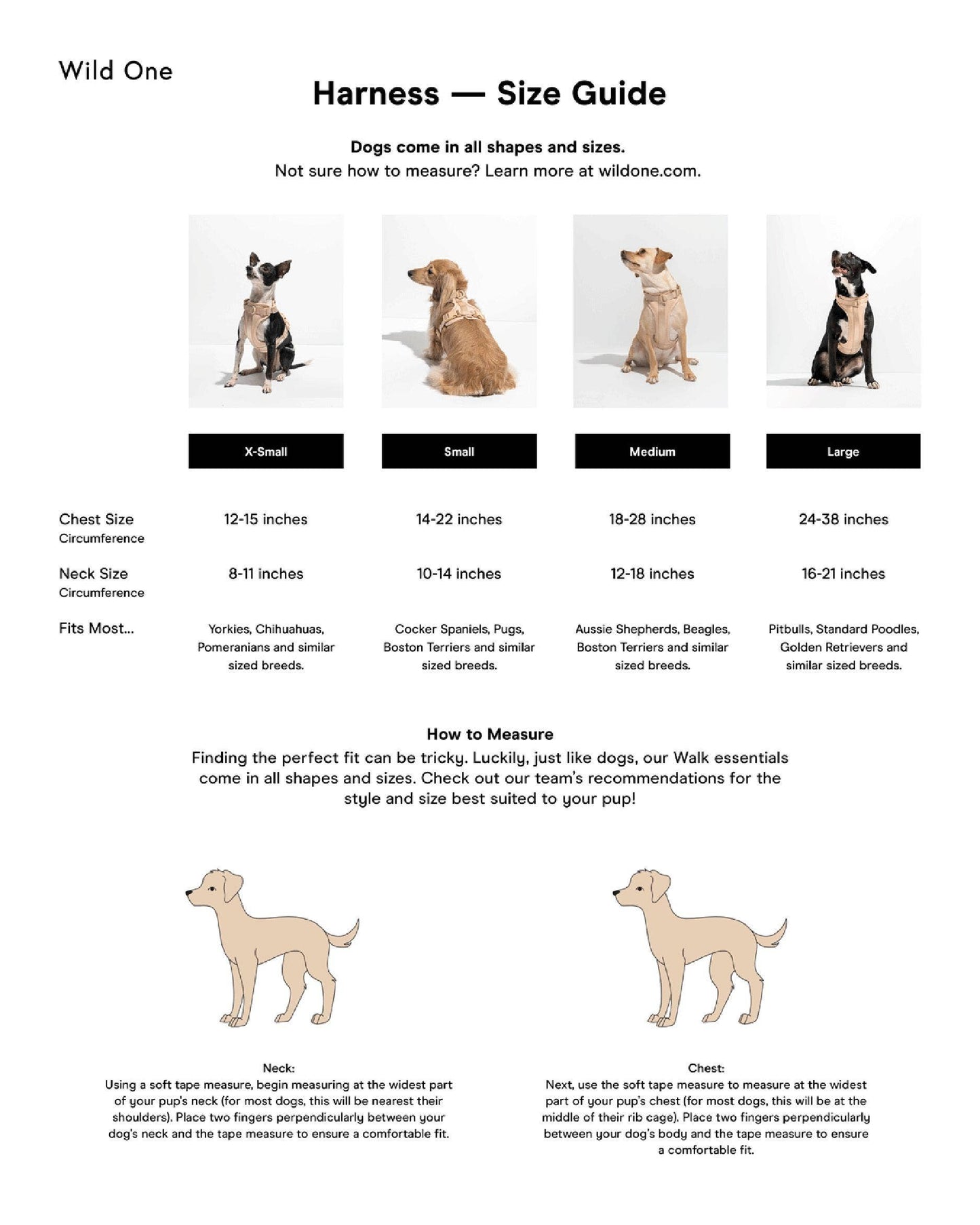 Wild One - Adjustable Comfort Dog Harness - Seafoam / MEDIUM