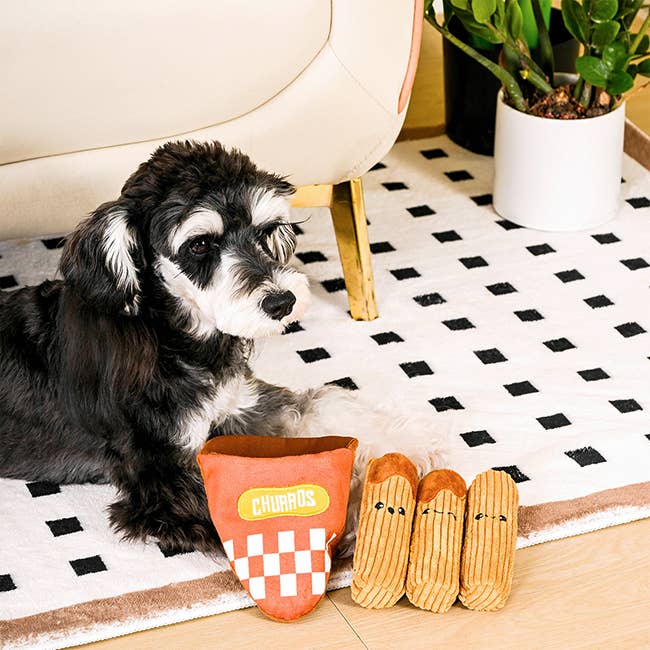 Hugsmart Products Inc - HugSmart Pet - Food Party | Churros - Interactive Toy