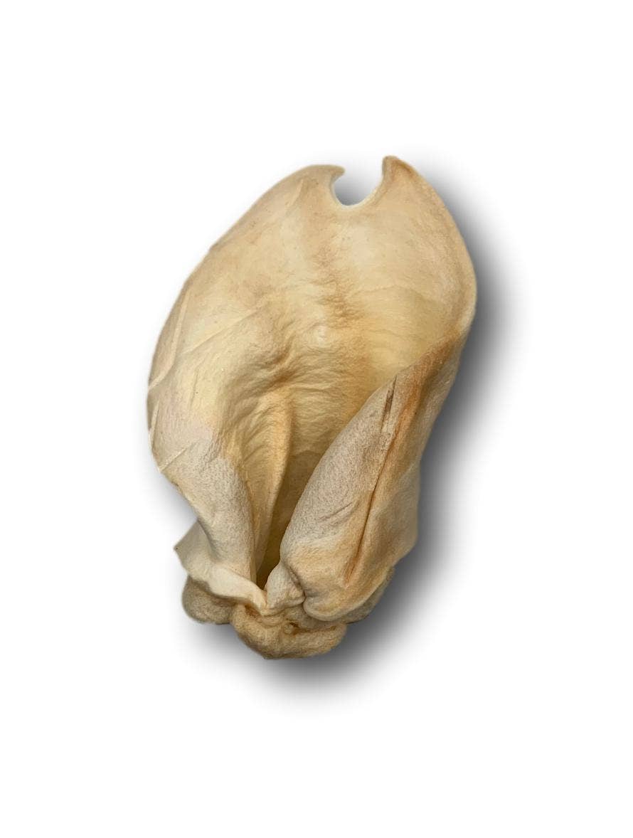 Healthy Dog Chews - Cow Ears Regular (CE0101NR) - Single