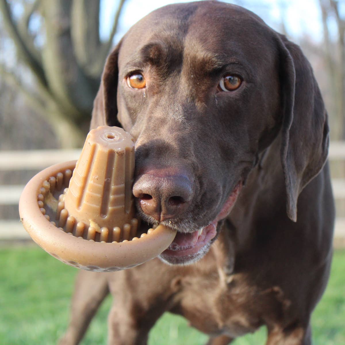 Tall Tails - Shroom Chew Dog Toy