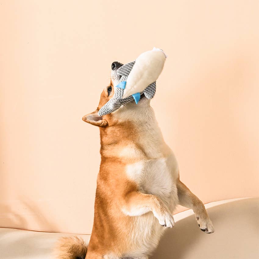 Hugsmart Products Inc - HugSmart Pet - Ocean Pals | Shark - Dog Plush Toy