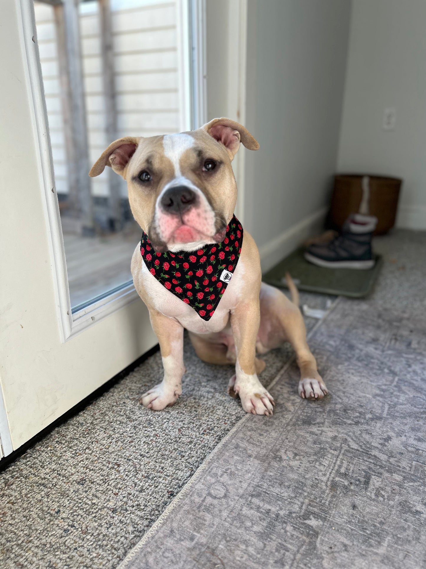 Be My Valentine Rose Bandana