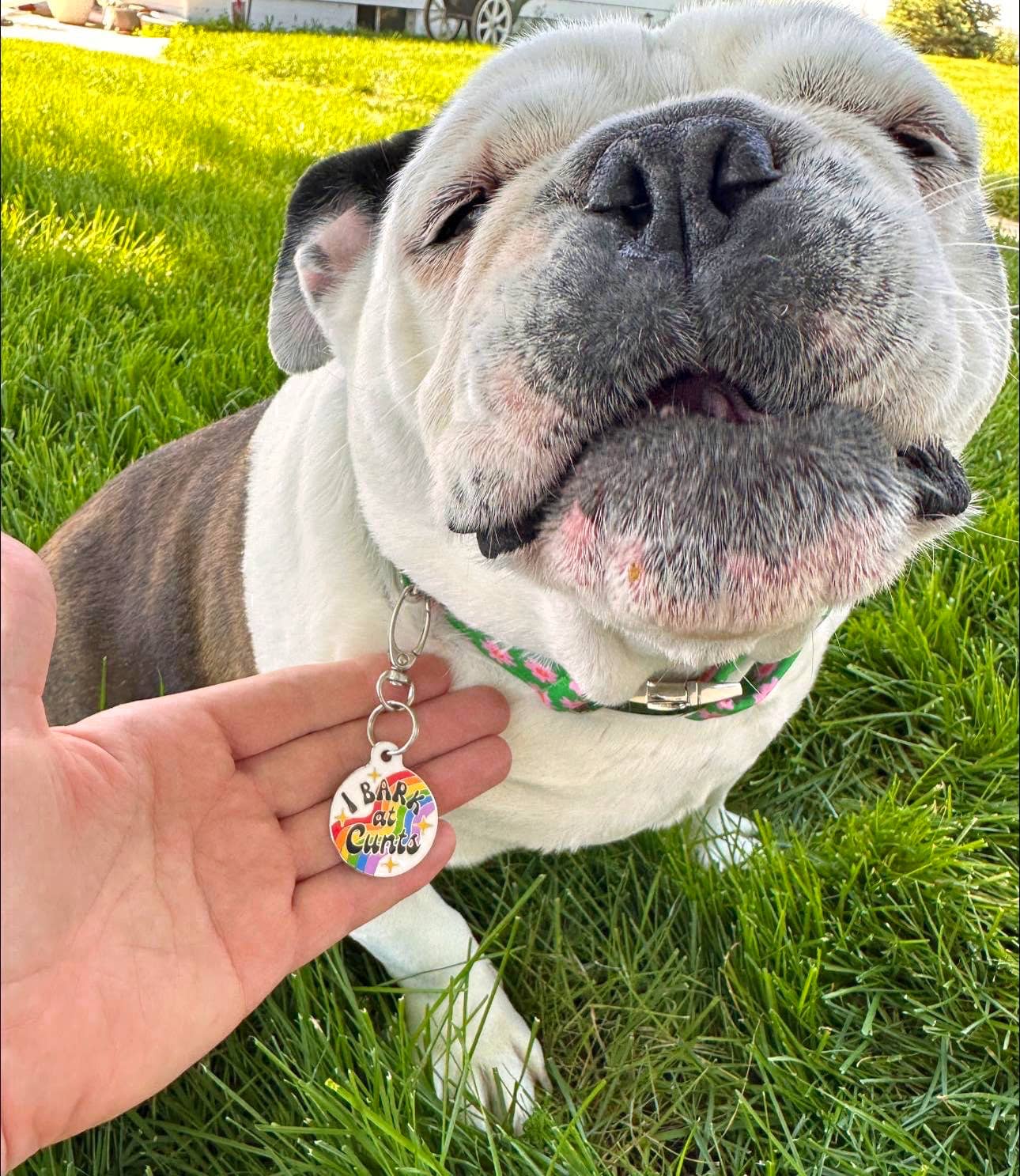 Bad Tags - Dog ID Tag with Personalized QR Code - I Bark at Cunts - Large / Engraved QR Code