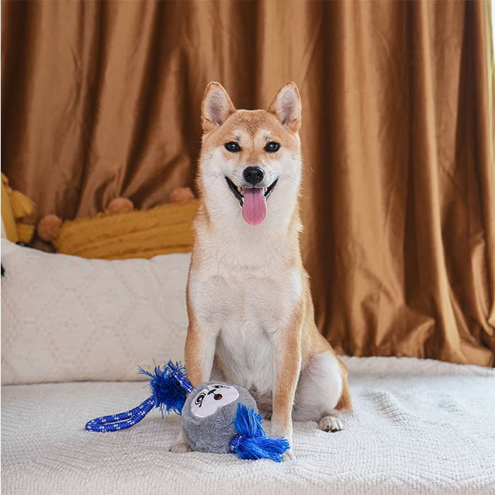 Hugsmart Products Inc - HugSmart Pet - Fluffy Tuggerz | Sea Lion - Dog Rope Toy