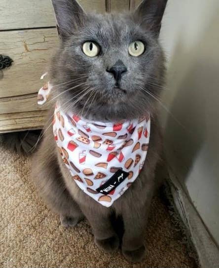 Mina + Pup - Drive-In Diner Cooling Bandana