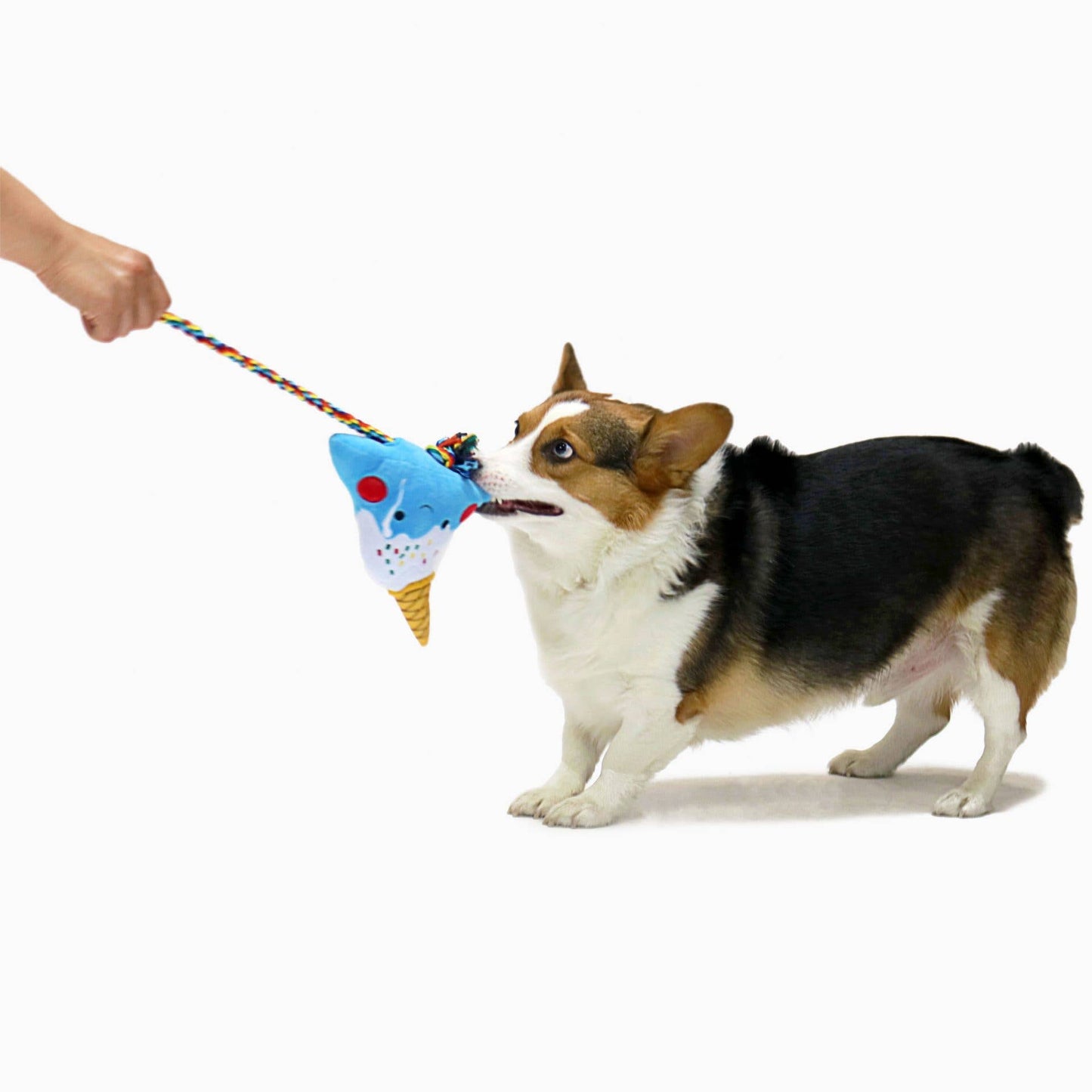 Hugsmart Products Inc - HugSmart Pet - Foodie Japan | Fuji Ice-cream - Dog Plush Toy