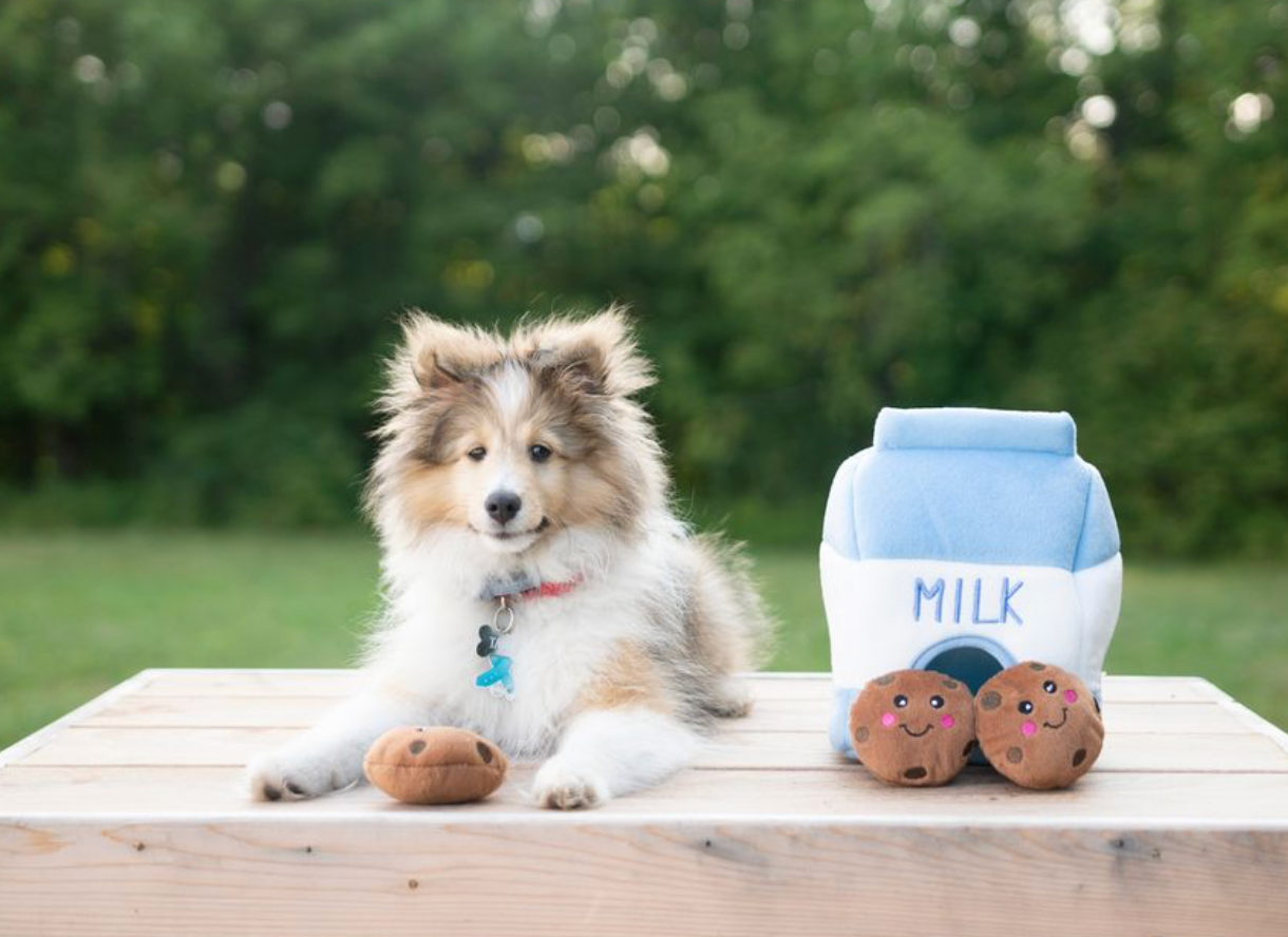 ZippyPaws - Zippy Burrow - Milk and Cookies - Dog Toy