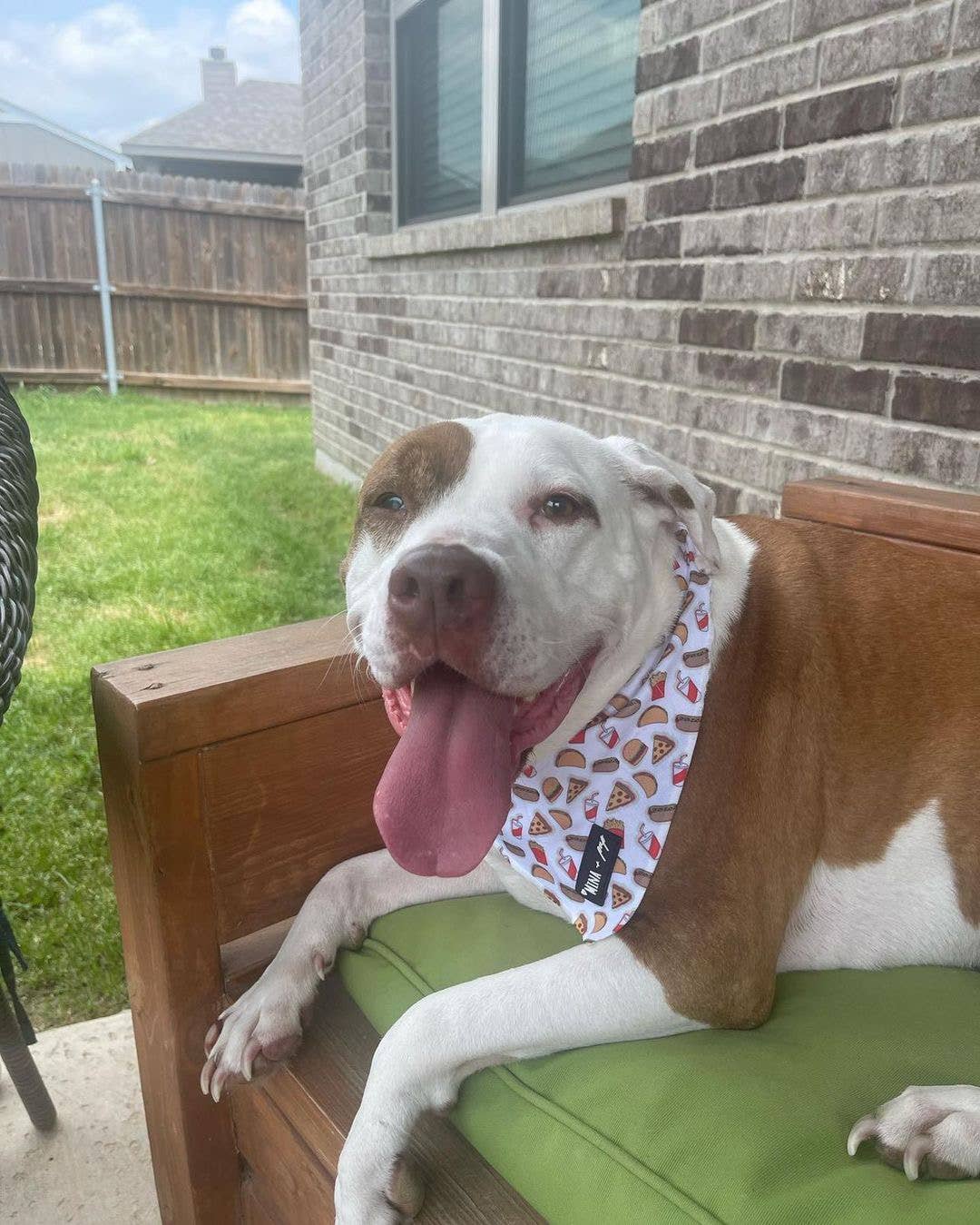 Mina + Pup - Drive-In Diner Cooling Bandana