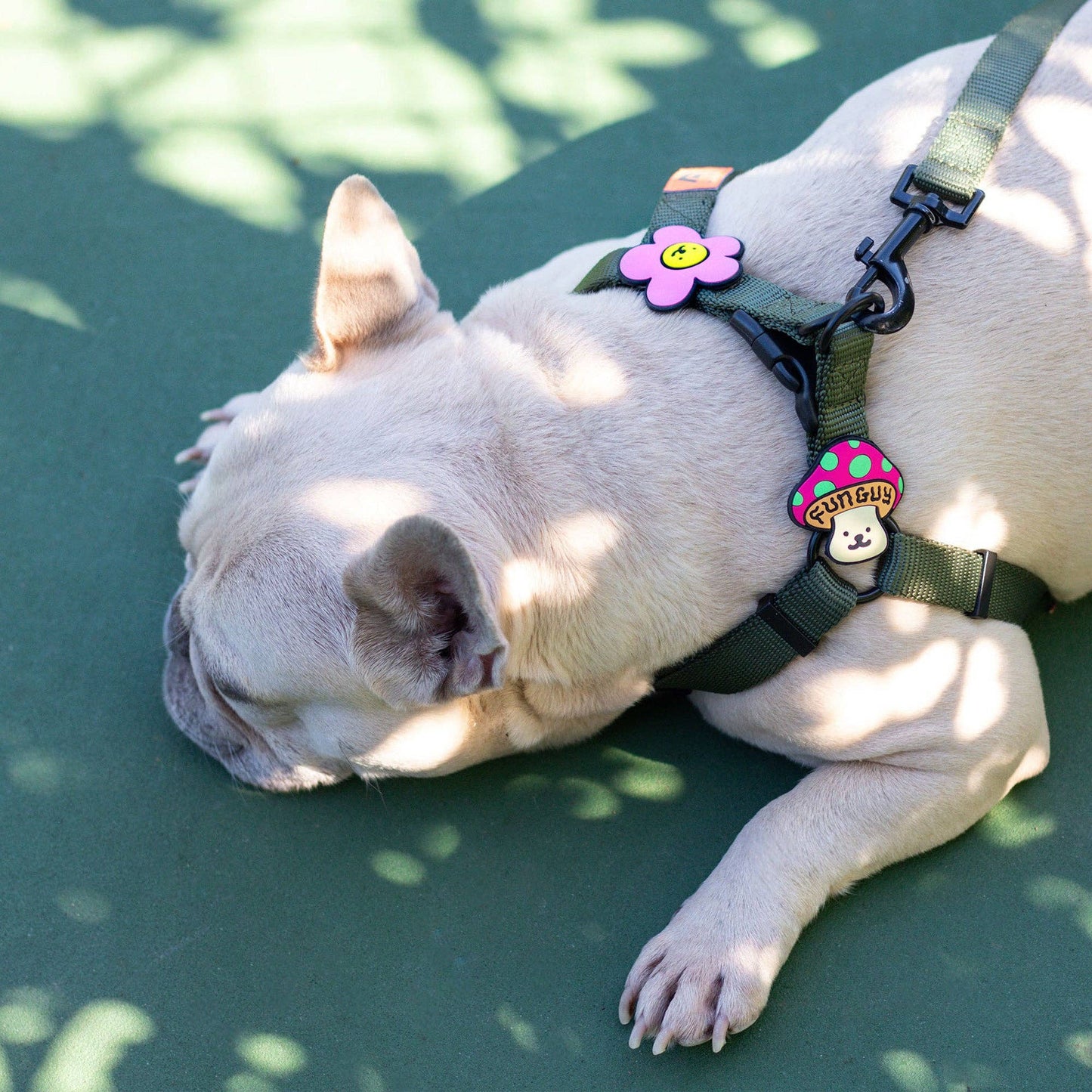 Jiby Dog Crew - Daisy Dog Jiby - White