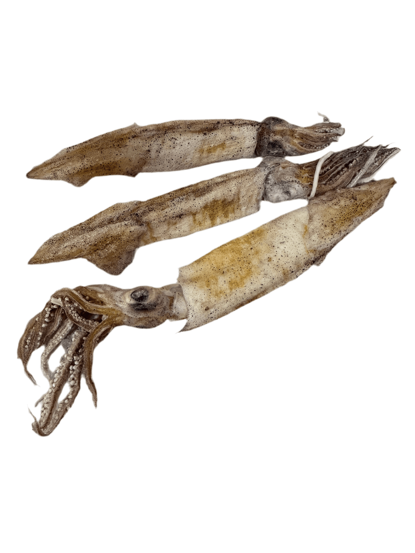 Doot's Chew Bar - Freeze Dried Squid - Single