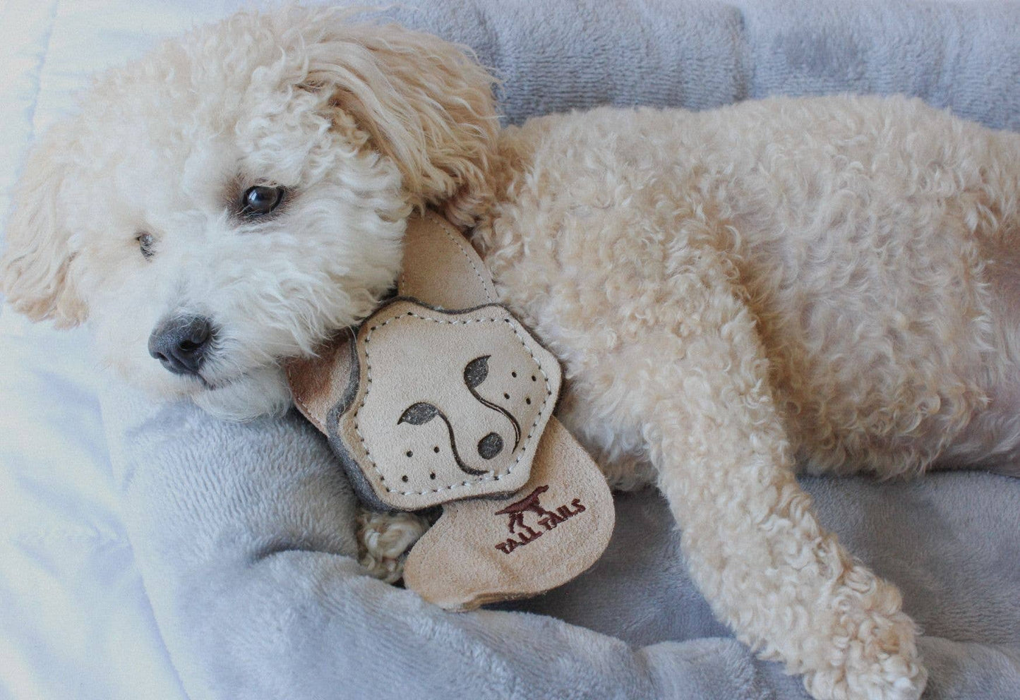 Tall Tails - Tall Tails Natural Leather & Wool Fox Toy - 4"