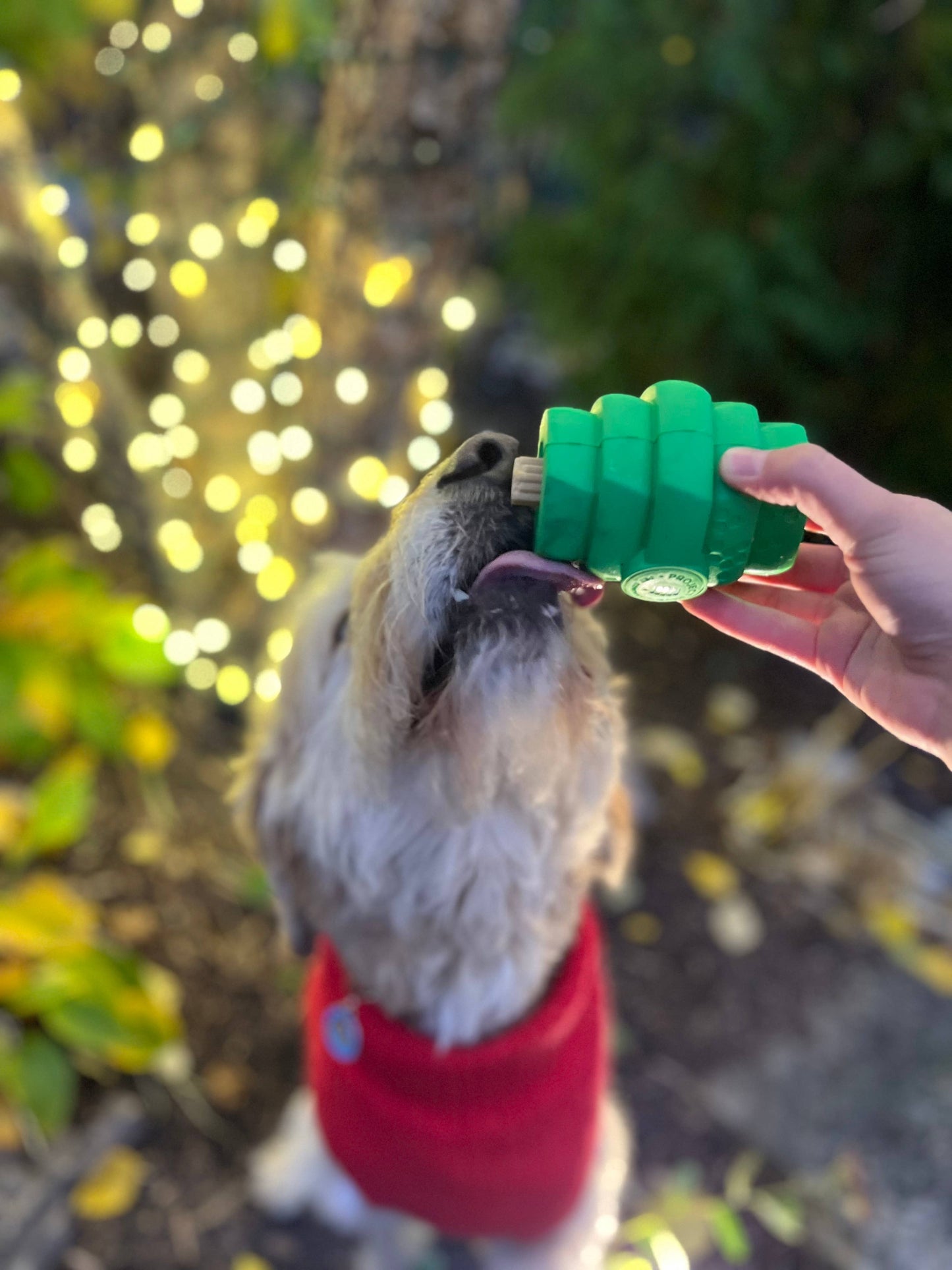 Project Hive Pet Company - Hive Chew Dog Toys-Large/Mixed Scent Collection