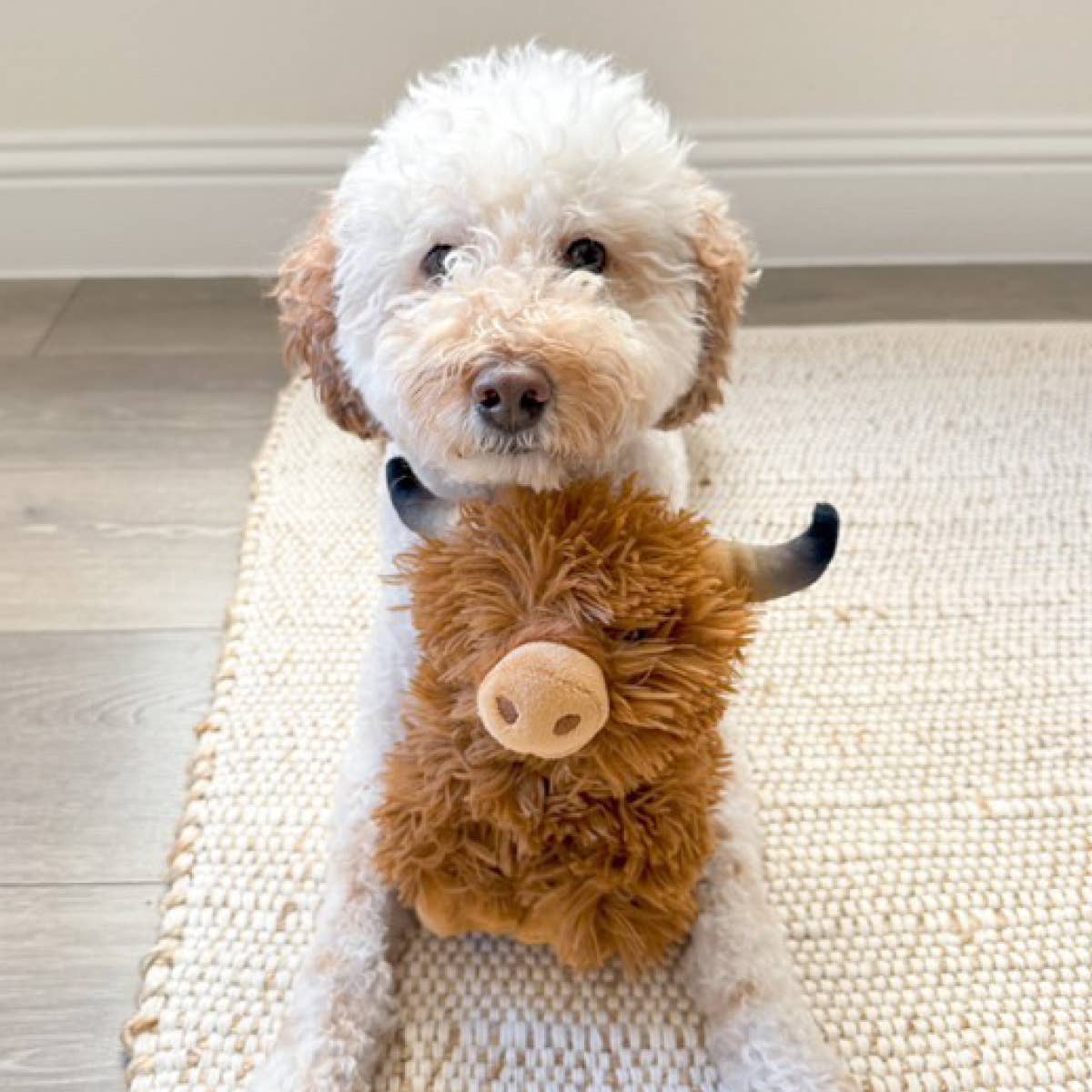Tall Tails - Highland Cow with Squeaker Dog Toy