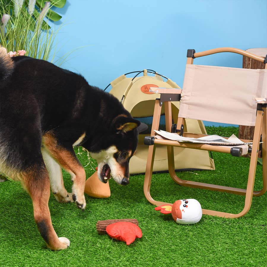 Hugsmart Products Inc - HugSmart Pet - Camping Pups | Camp Hound - Dog Plush Toy
