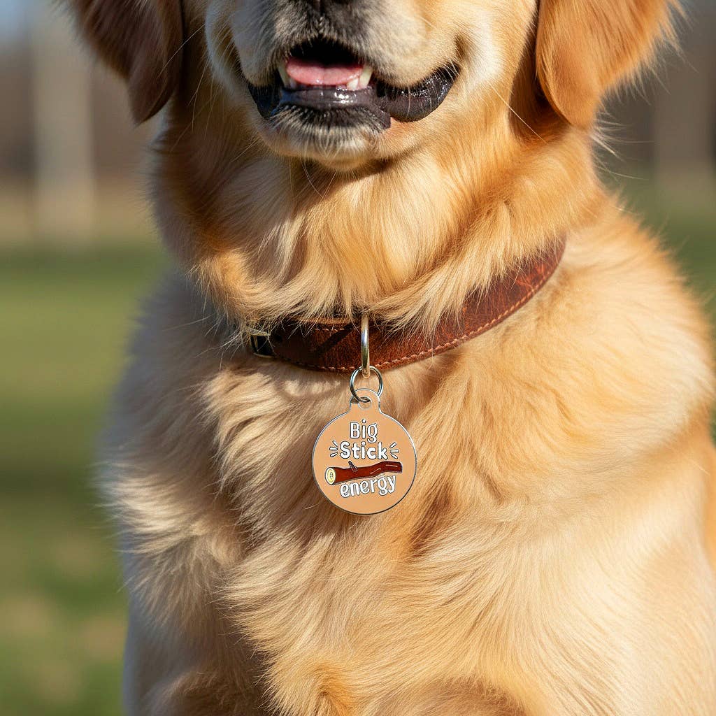 Bad Tags - Adventure Dog ID Tag Personalize - Big Sticker Energy - Large / Engraved QR Code